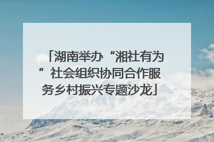 湖南举办“湘社有为”社会组织协同合作服务乡村振兴专题沙龙